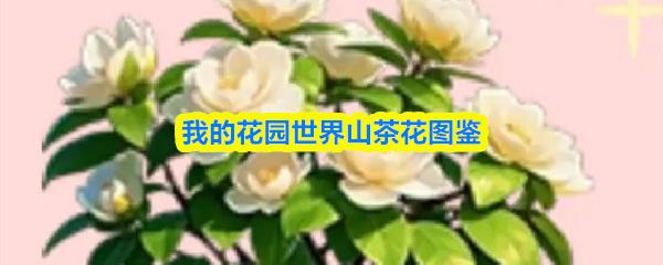 我的花园世界山茶花图鉴