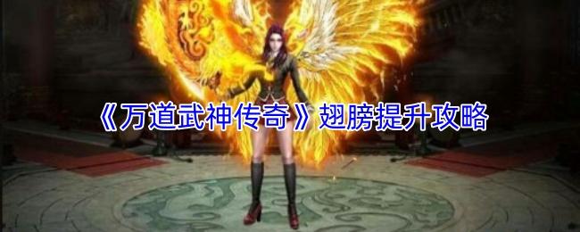万道武神传奇 翅膀提升攻略