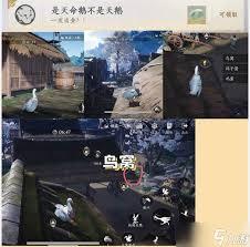 燕云十六声怪盗一只鹅一头村民成就如何获取