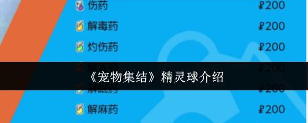 宠物集结 精灵球介绍